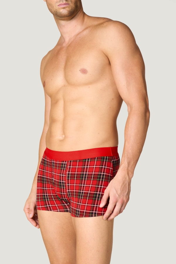 giu0029ncr008_boxer_regular_check_01