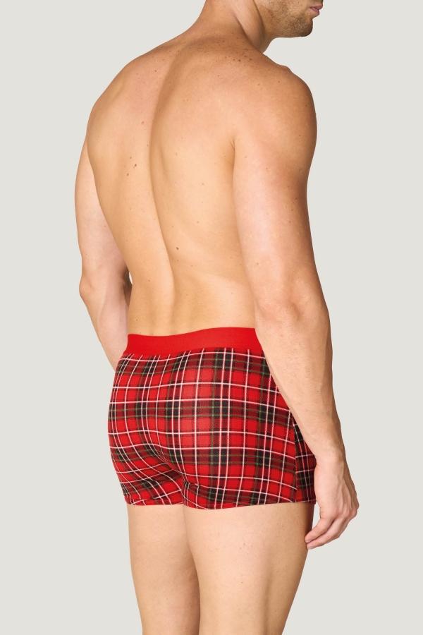 giu0029ncr008_boxer_regular_check_02