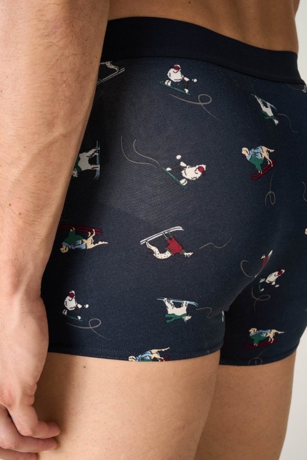 giu0030nca013_boxer_regular_dog_skiers_03